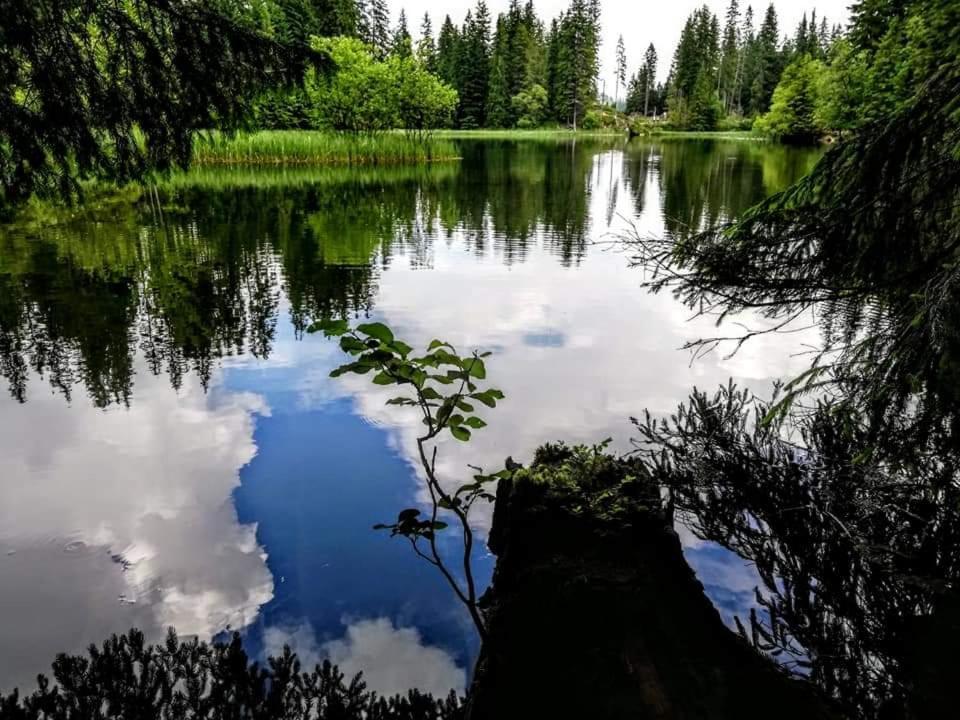 Apartmány MINATA Liptovský Mikuláš Exteriér fotografie